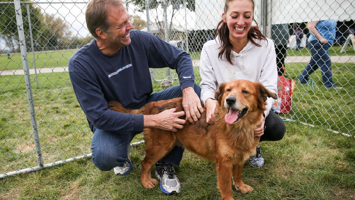 Super adoption places hundreds of cats, dogs with Utah animal lovers