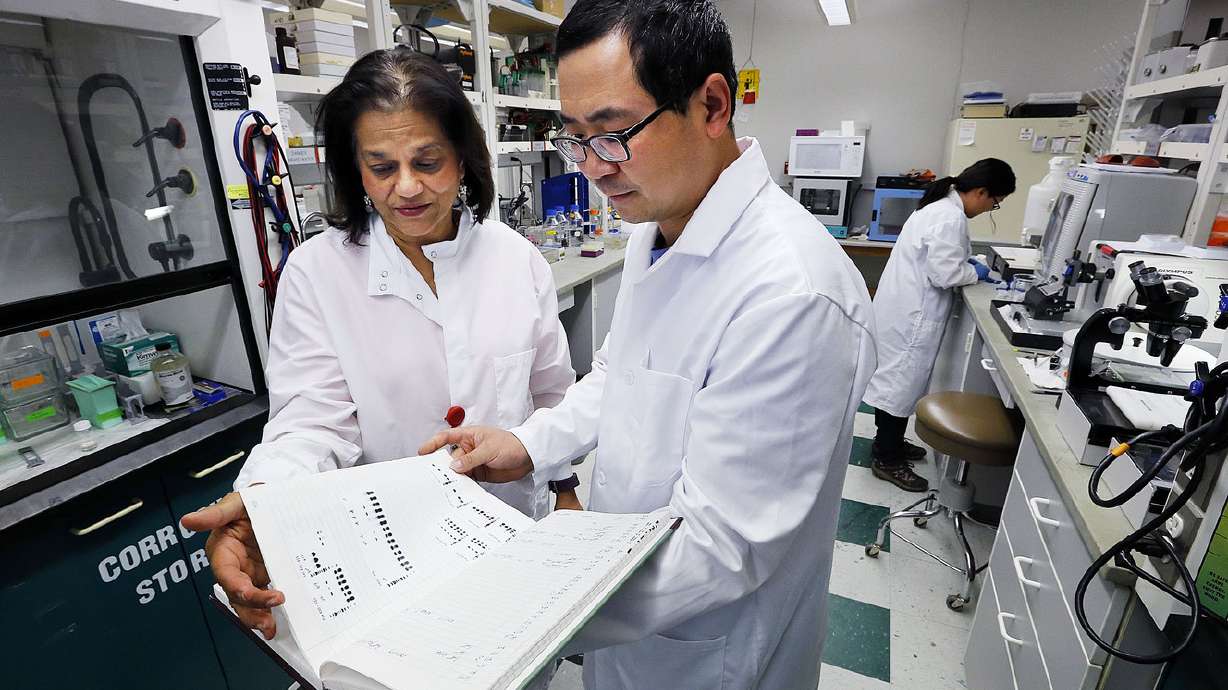 U. researchers discover how to reverse cleft palate for mice still in uterus