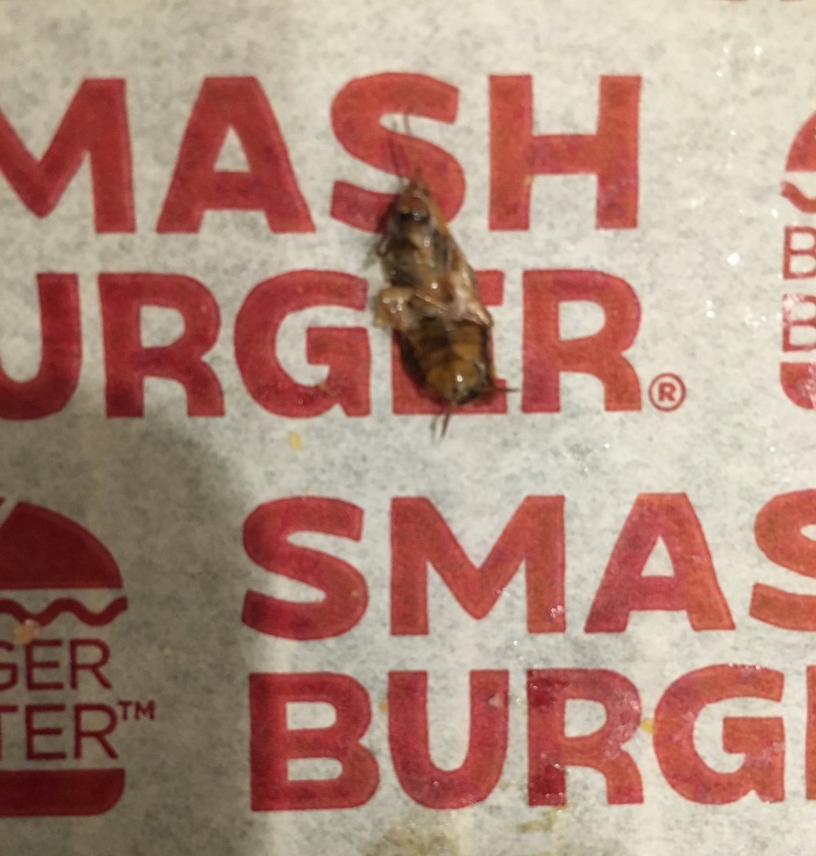 Dead roach in Utah man’s milkshake becomes Twitter hero