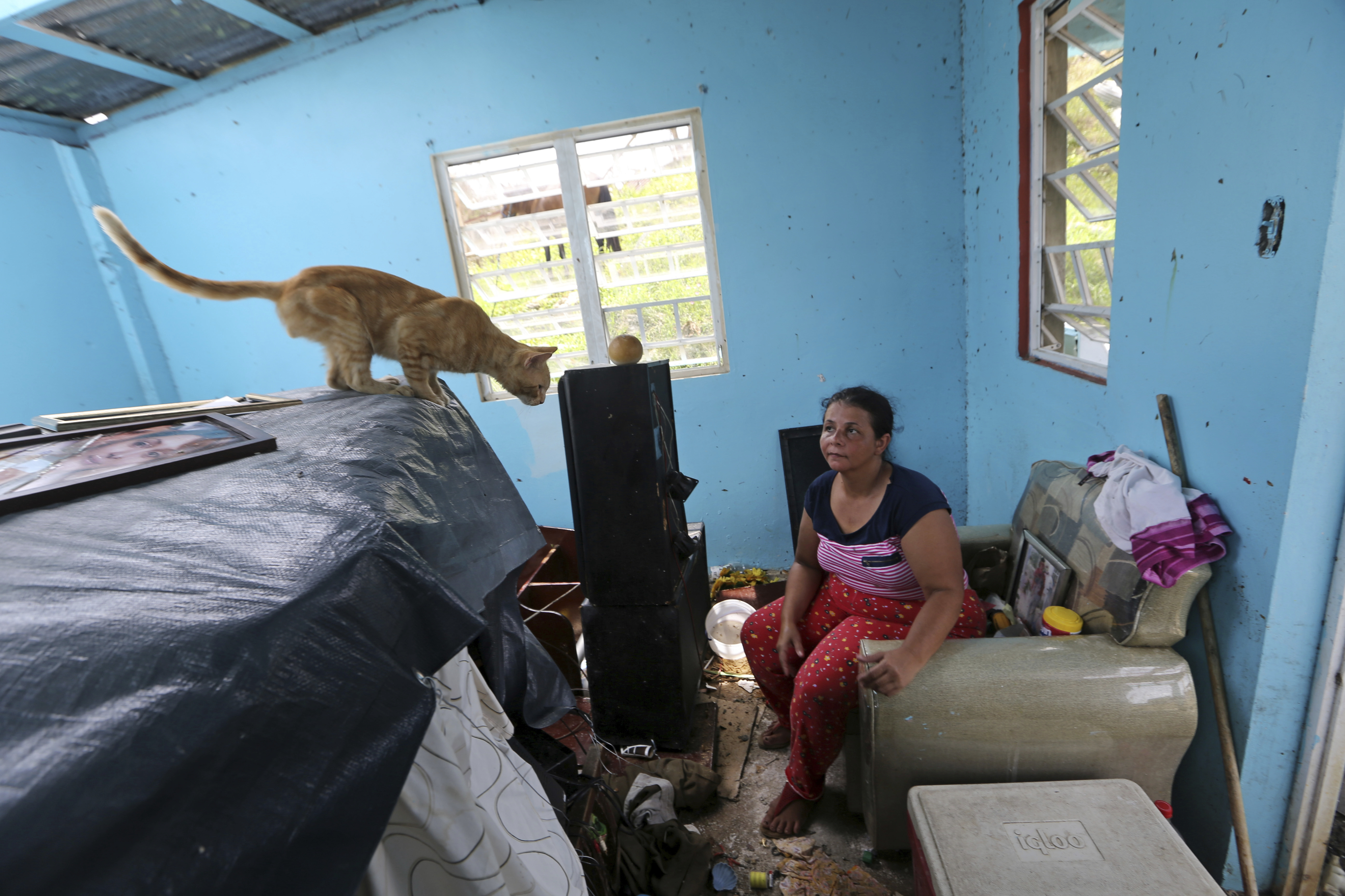 Stories from the aftermath of Hurricane Maria in Puerto Rico