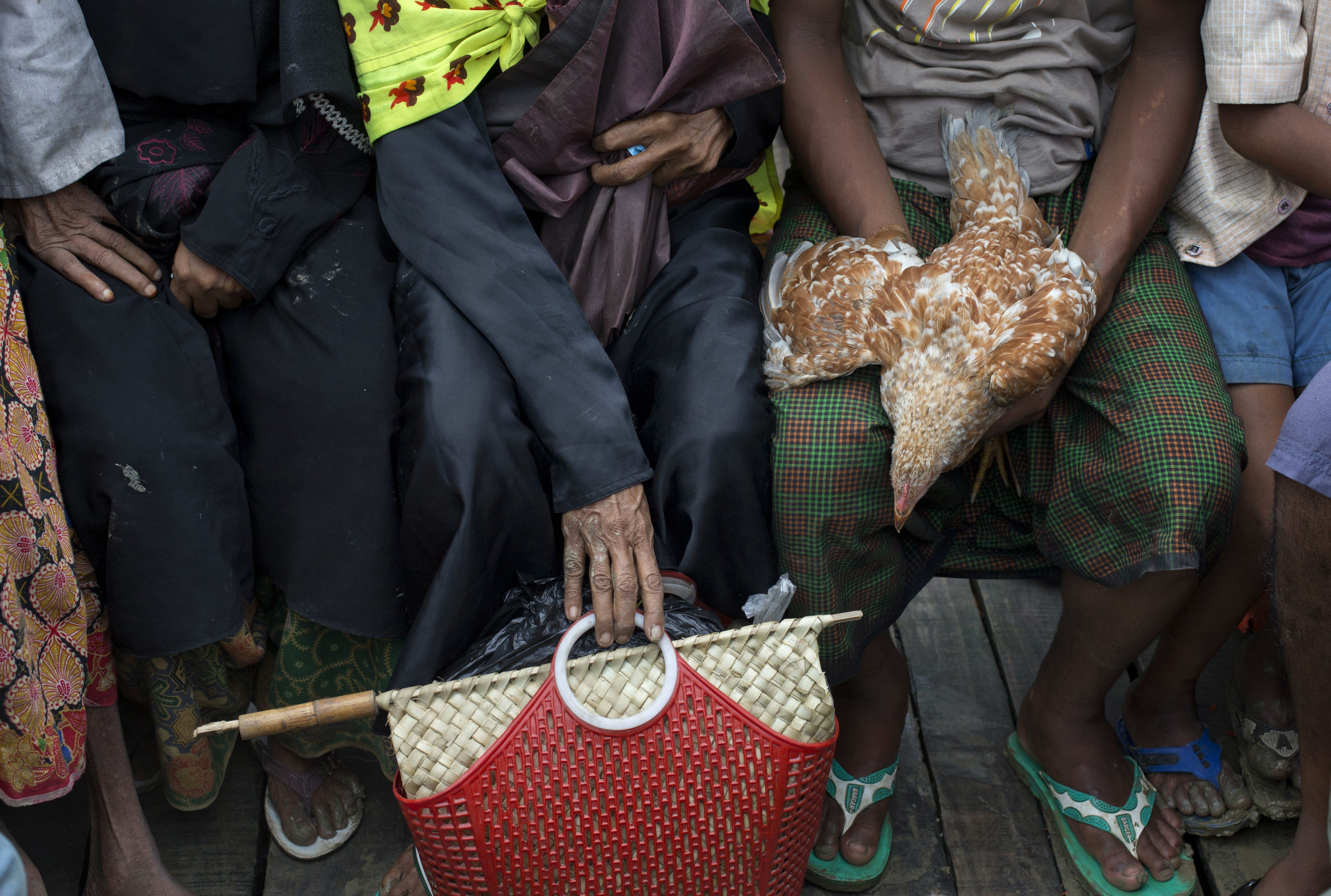 Myanmar refugee exodus tops 500,000 as more Rohingya flee