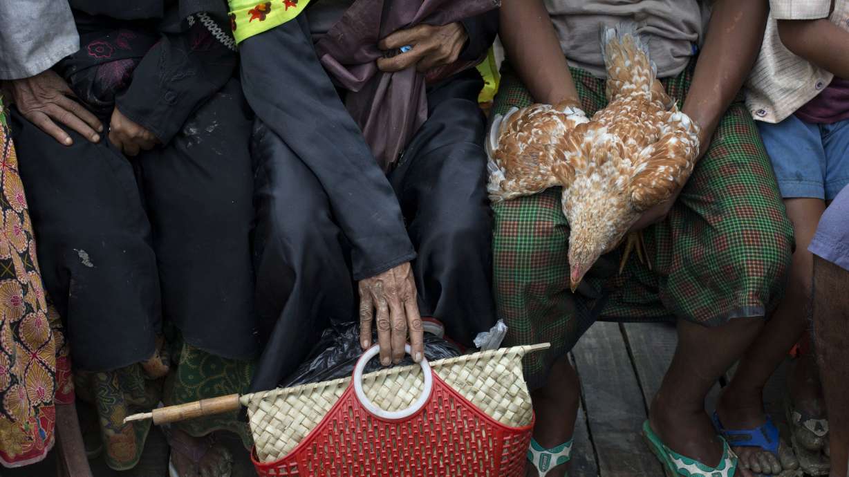 Myanmar refugee exodus tops 500,000 as more Rohingya flee