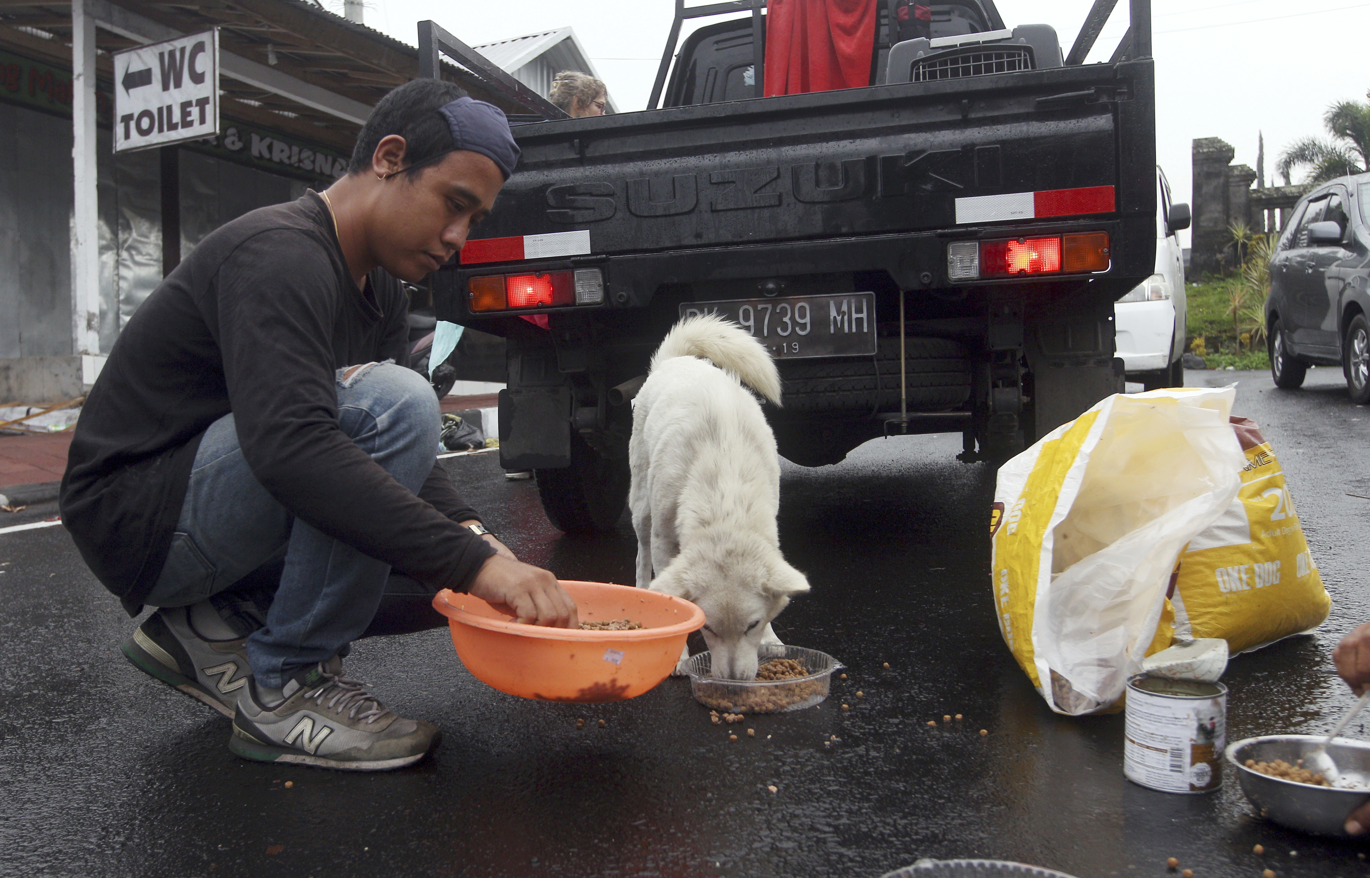 American woman's mission: Rescuing dogs from Bali volcano
