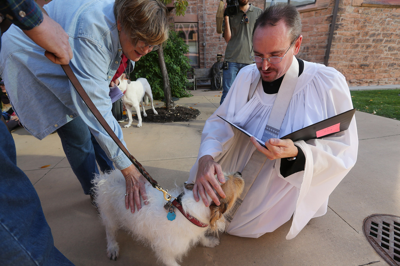 The Rev. Tyler Doherty blesses Carolyn Ershler's dog as the Cathedral Church of St. Mark celebrates St. Francis Day with the Blessing of the Animals in Salt Lake City on Saturday, Oct. 7, 2017. (Photo: Jeffrey D. Allred, KSL)