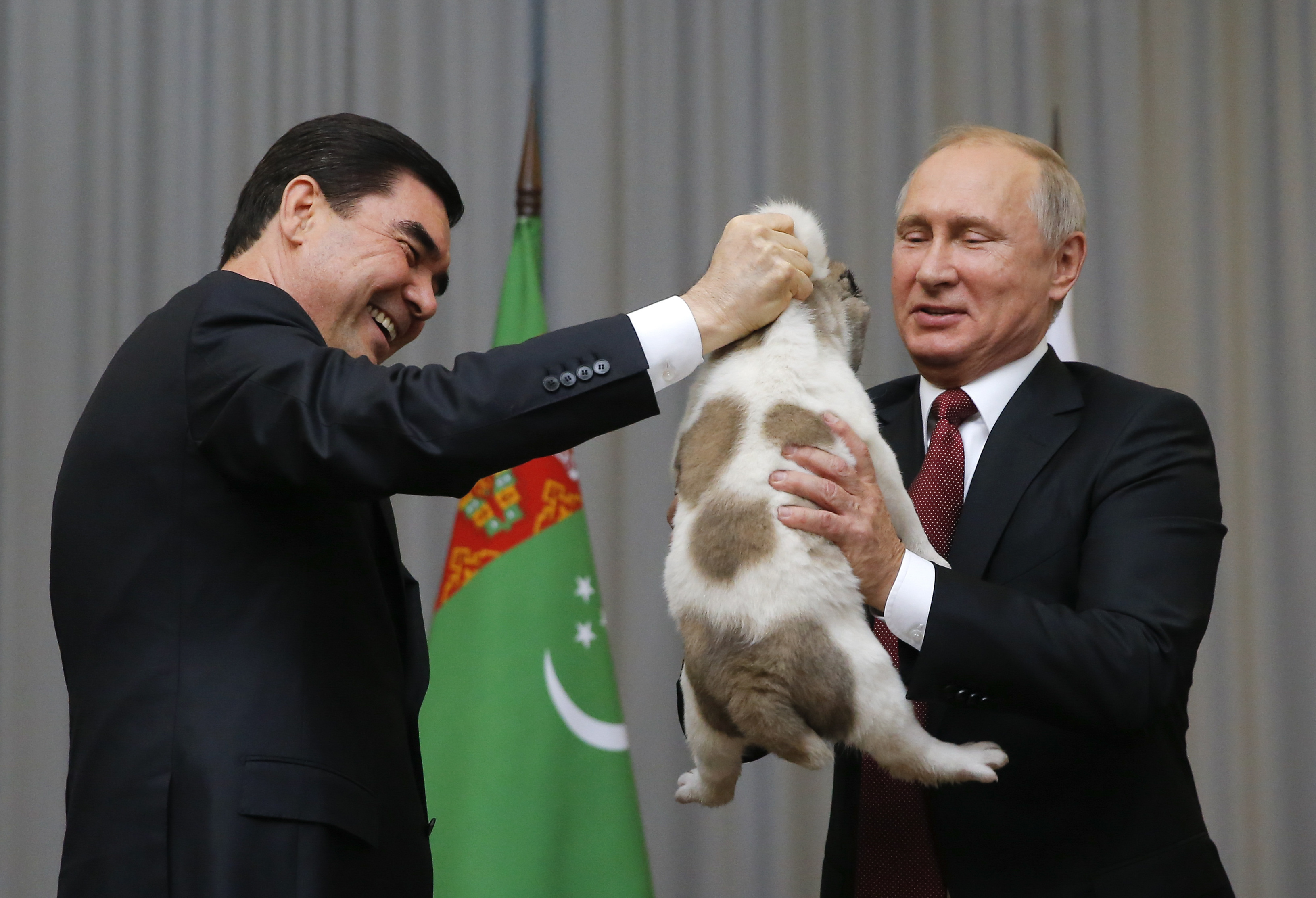Russia's dog-loving leader gets another puppy as gift