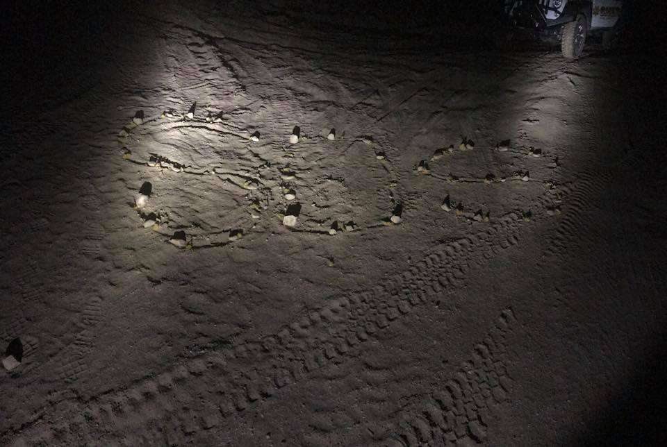 Courtesy of the Kane County Sheriff's Office