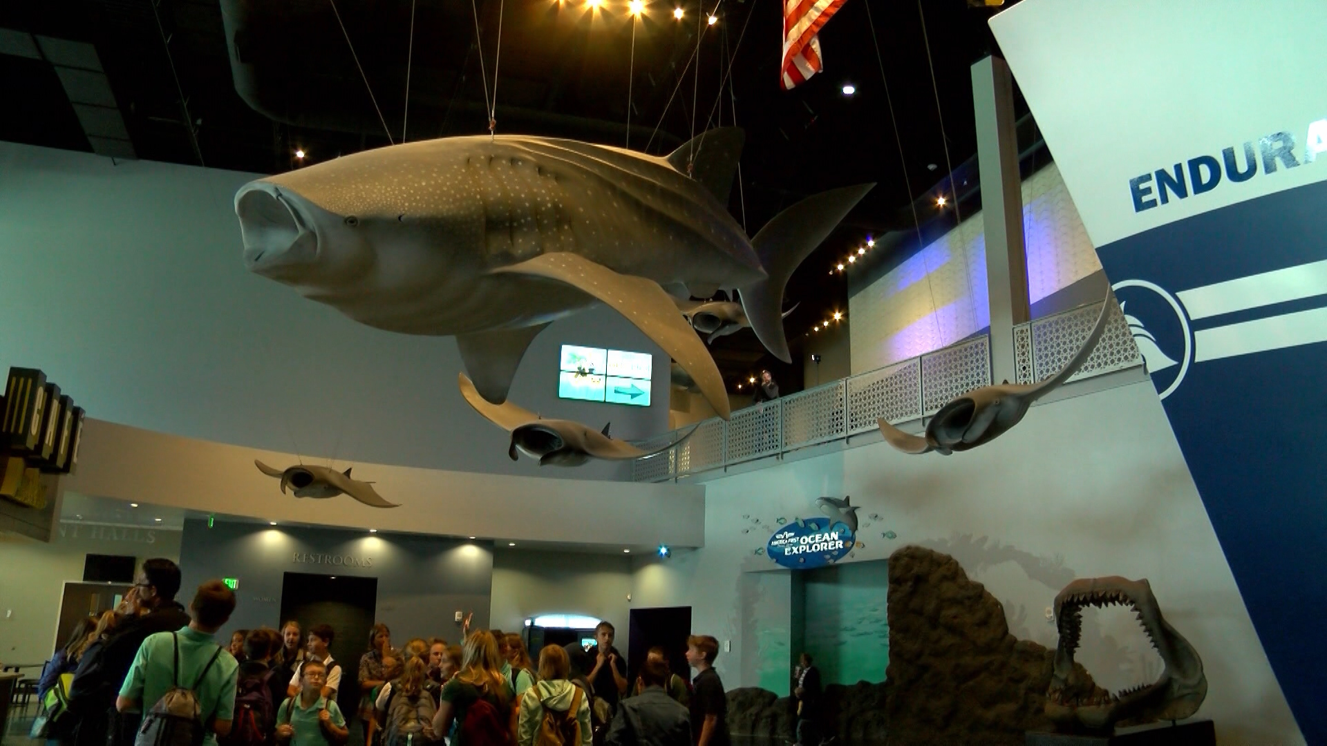 Artist Stephen Kesler thinks big — giant whale big. (Photo: KSL TV)