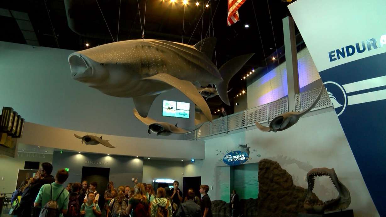 Artist Stephen Kesler thinks big — giant whale big. (Photo: KSL TV)