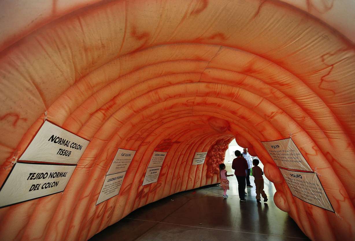 Attendees walk through a model of a colon at the health and dental fair for the Hispanic community at South Towne Expo Center in Sandy on Saturday, Oct. 21, 2017. (Photo: Jeffrey D. Allred, KSL)
