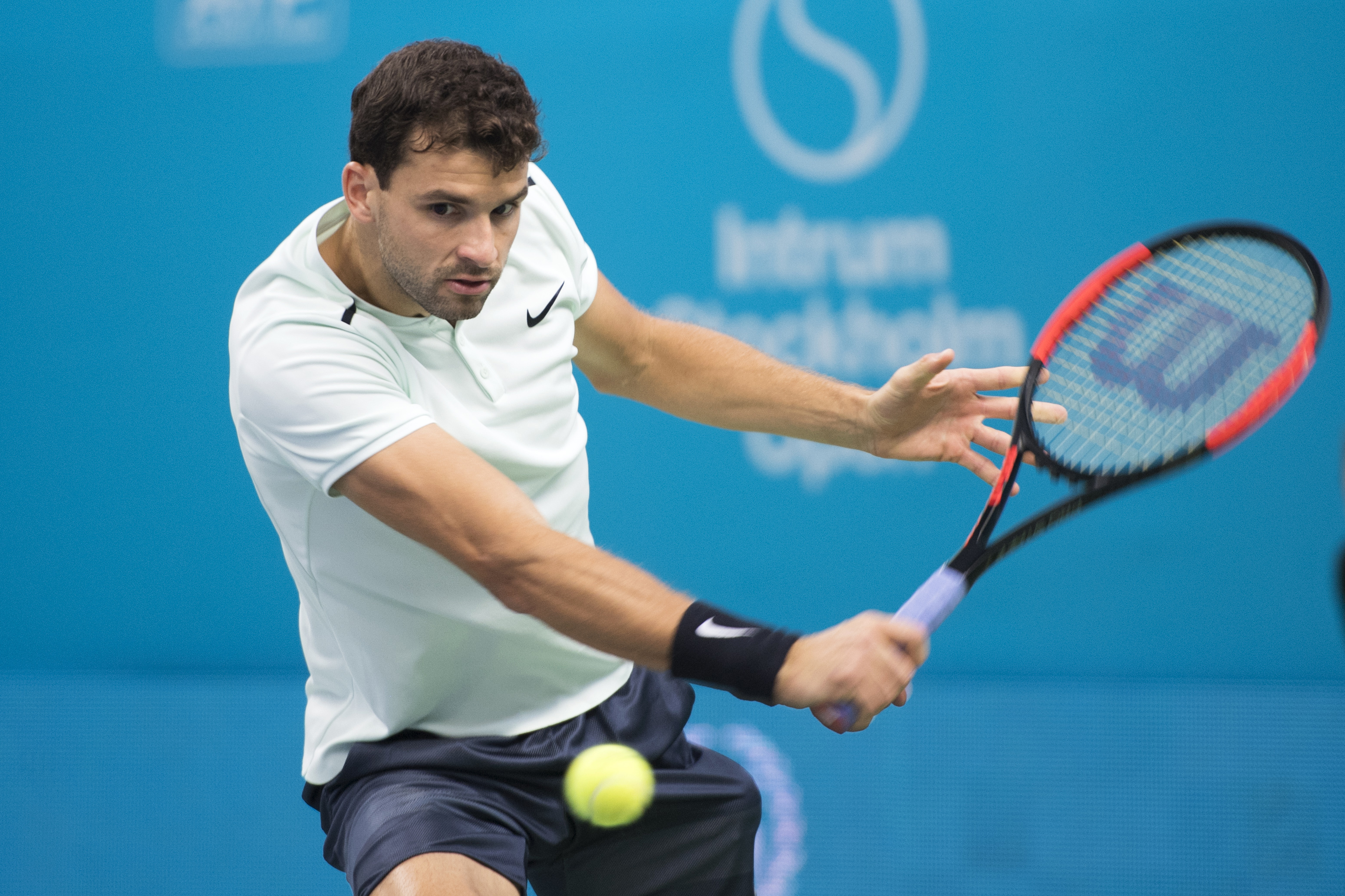 Del Potro beats Dimitrov to win Stockholm Open