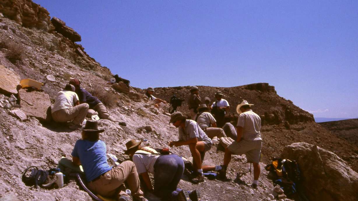 The team working on the excavation of the block of Utahraptor fossils at a site near Moab. (Photo: Jim Kirkland)