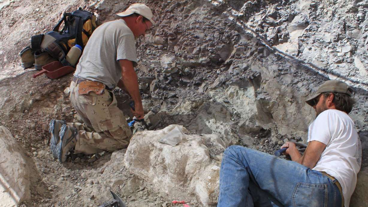 Scott Madsen working on the excavation of the block of Utahraptor fossils at a site near Moab. (Photo: Jim Kirkland)