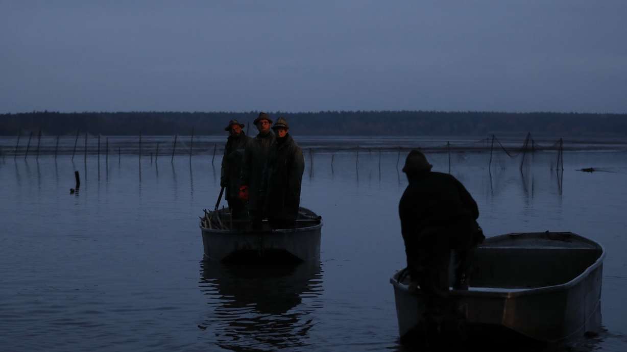 AP PHOTOS: Czech fishermen catch carp for Christmas markets