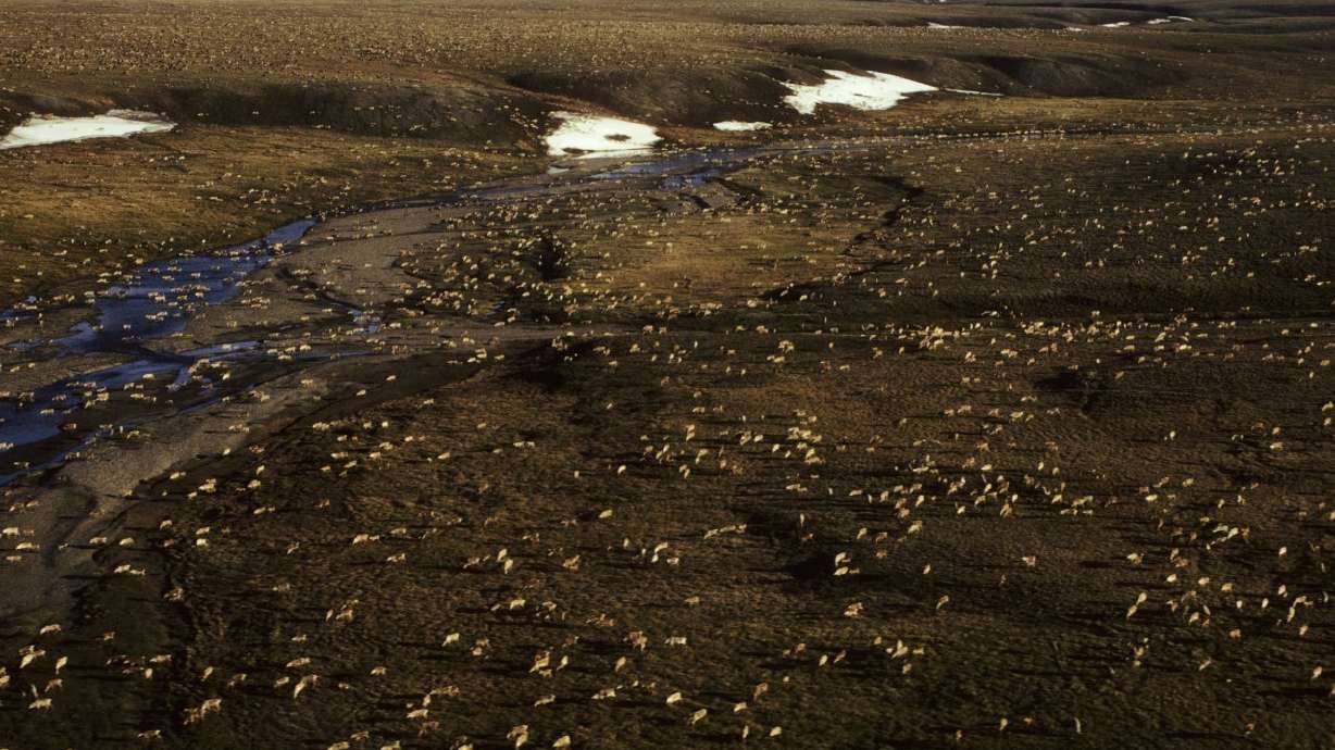 Alaskans differ as Senate debates drilling in Arctic refuge