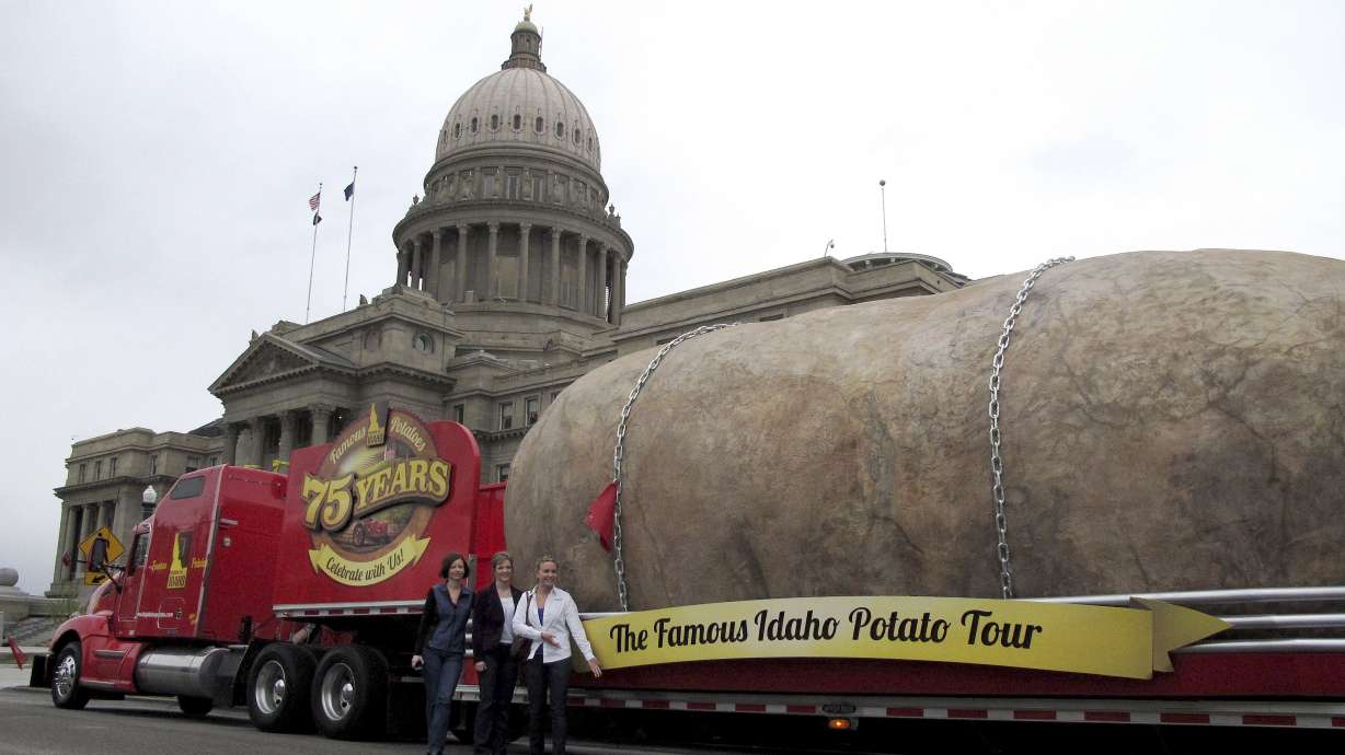 Would you stay in this giant fake potato?