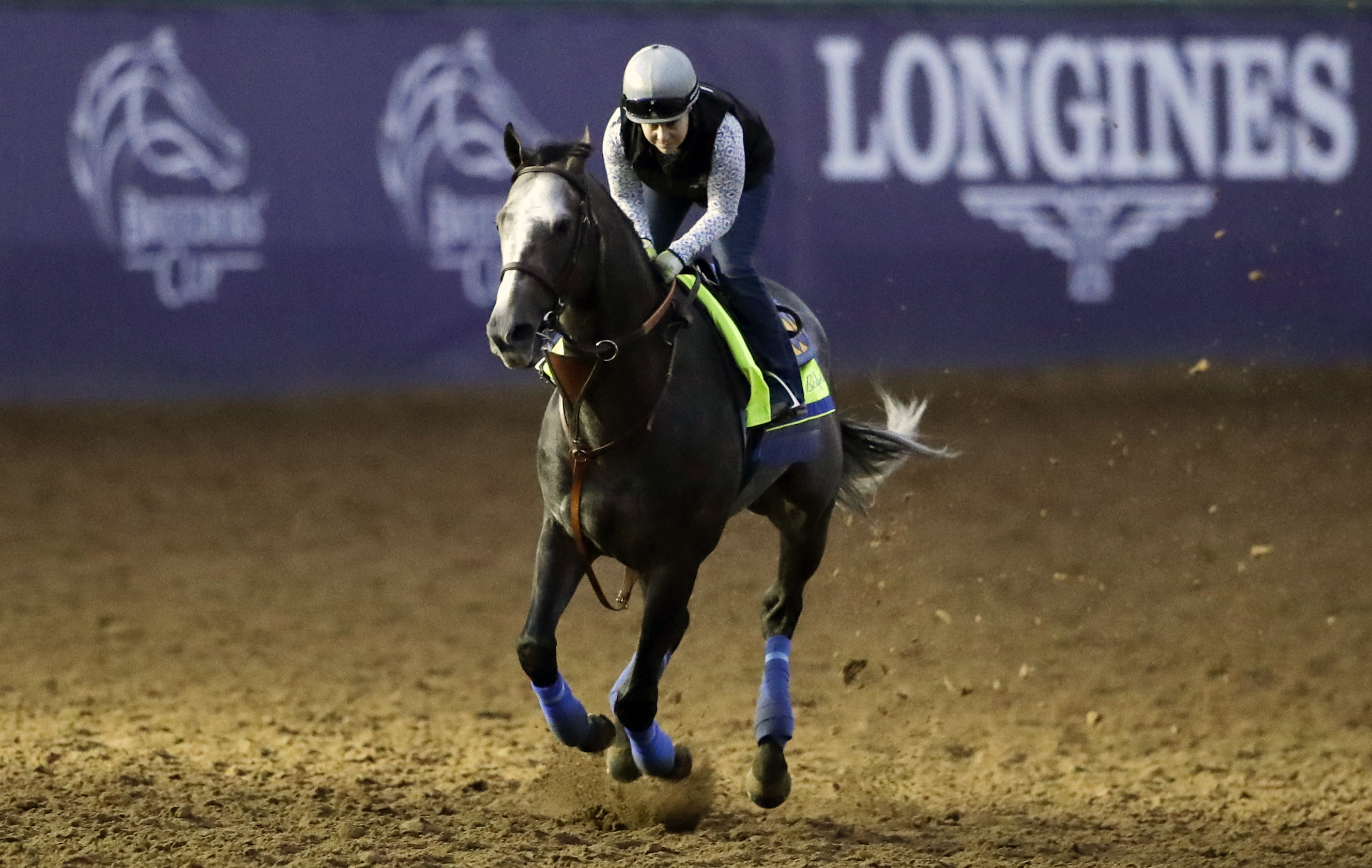 $2 million Distaff tops opening day of Breeders' Cup