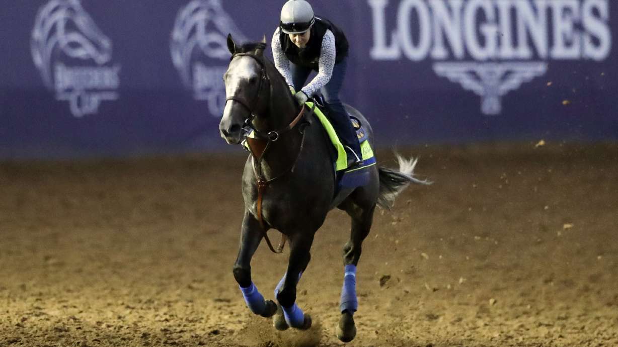 $2 million Distaff tops opening day of Breeders' Cup