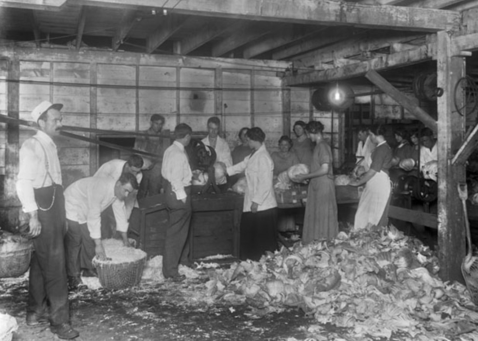 Workers inside the Utah Pickle Company building in a photo taken on July 30, 1914. (Photo: Utah Division of State History)