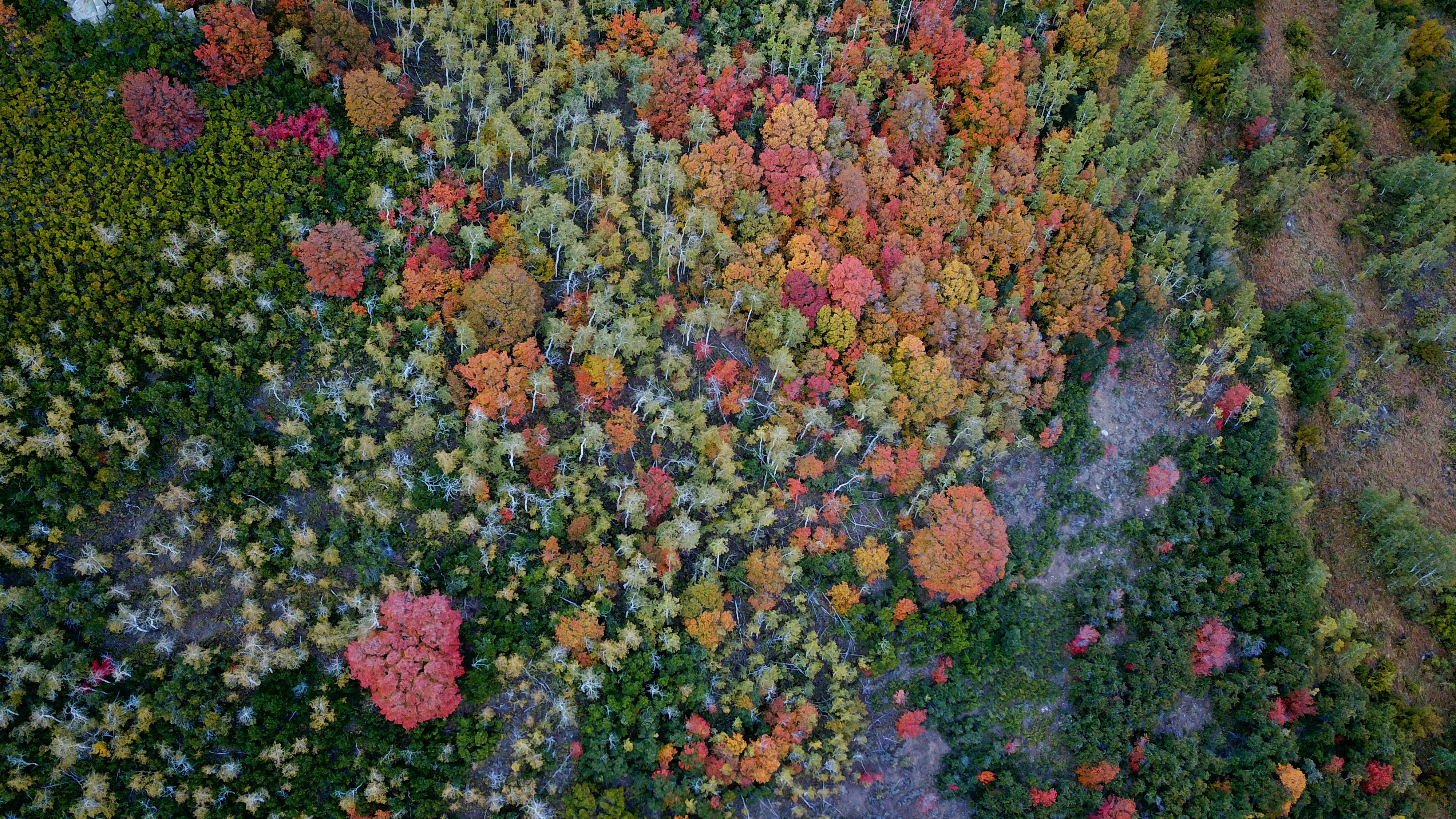 10 breathtaking photos taken in Utah this fall