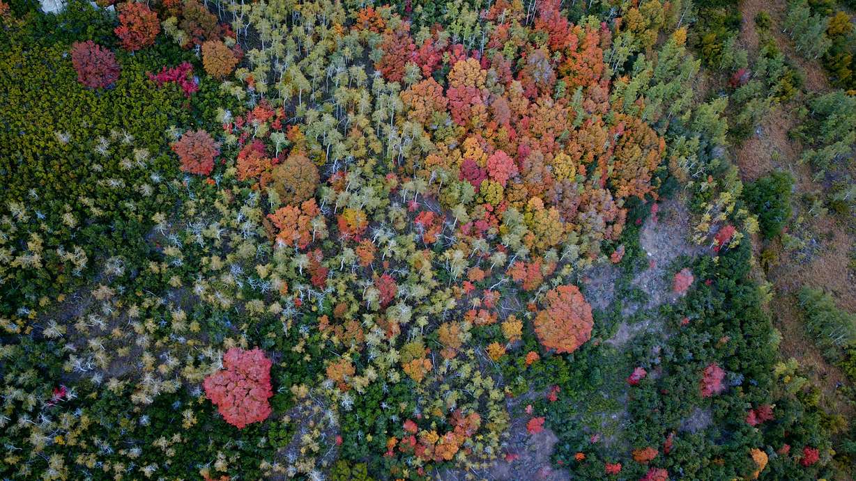 10 breathtaking photos taken in Utah this fall