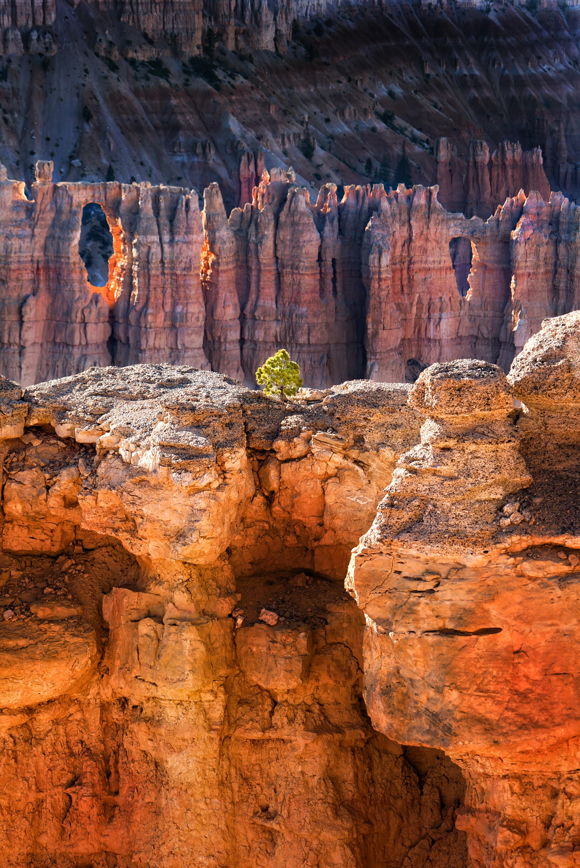 10 breathtaking photos taken in Utah this fall