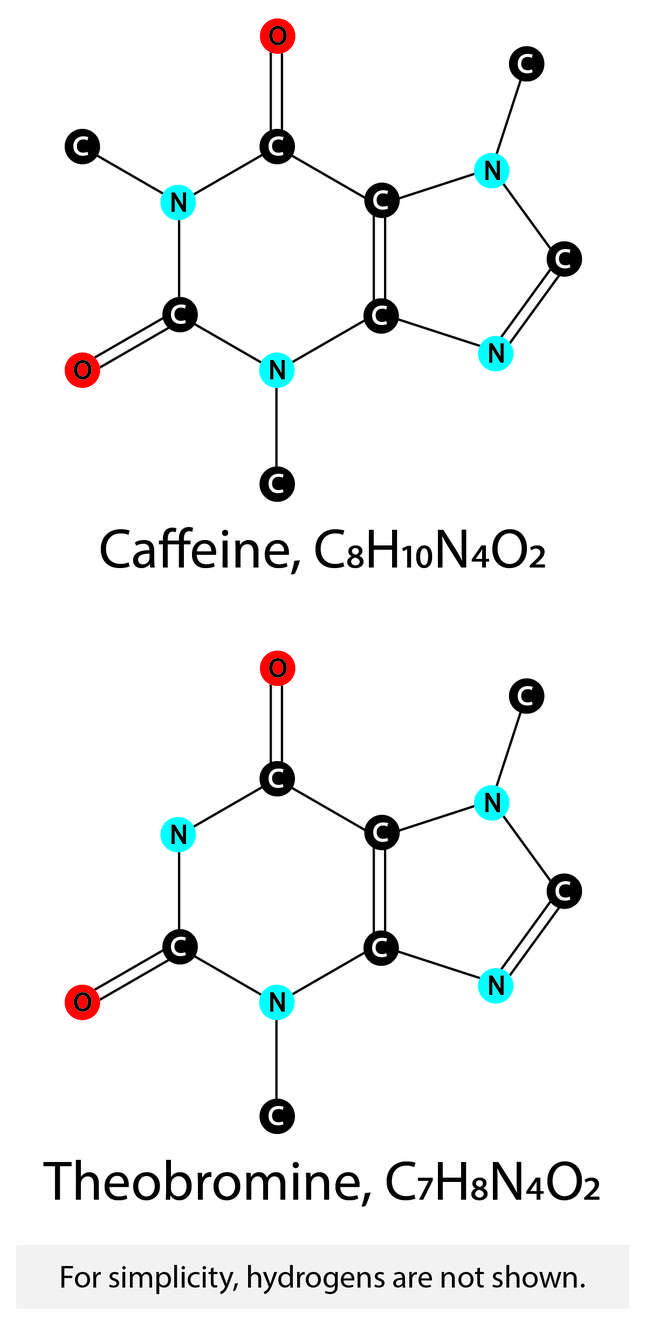 Is there caffeine in chocolate?