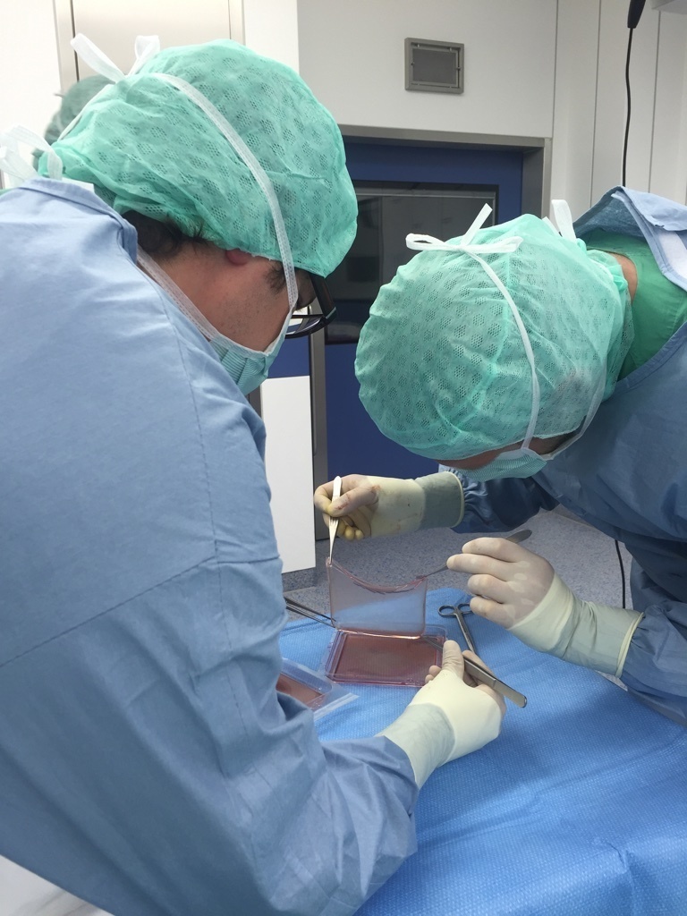 Boy with rare disease gets brand new skin with gene therapy