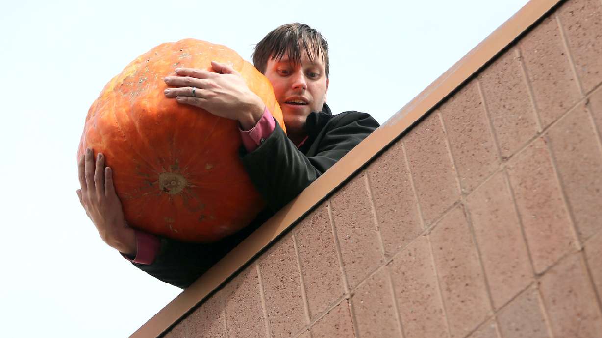 Students smash pumpkins in the name of physics