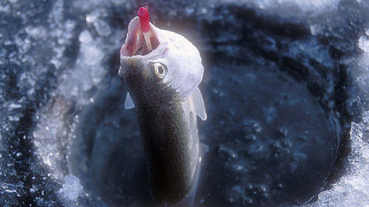 Where to go and what to use while ice fishing throughout Utah