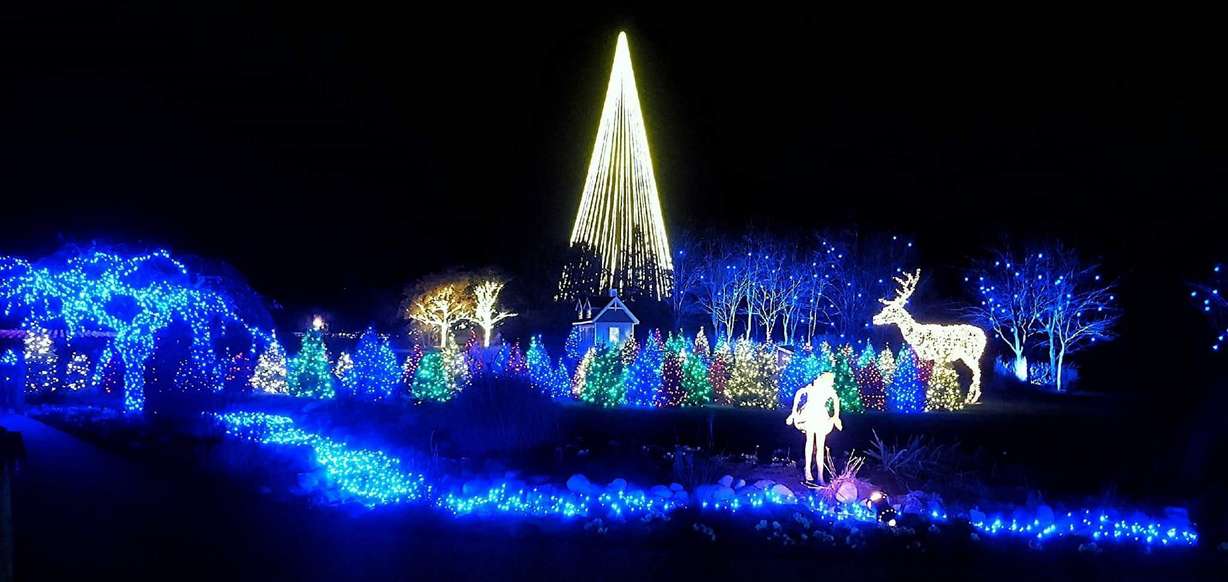 The Ashton Gardens at Thanksgiving Point come alive for the Christmas season with thousands of Luminaria and twinkling, sparkling and changing color lights. Visitors can walk a mile through the displays that include towering trees, a blue-lighted stream and a sculpture garden. (Photo: Vphotography)