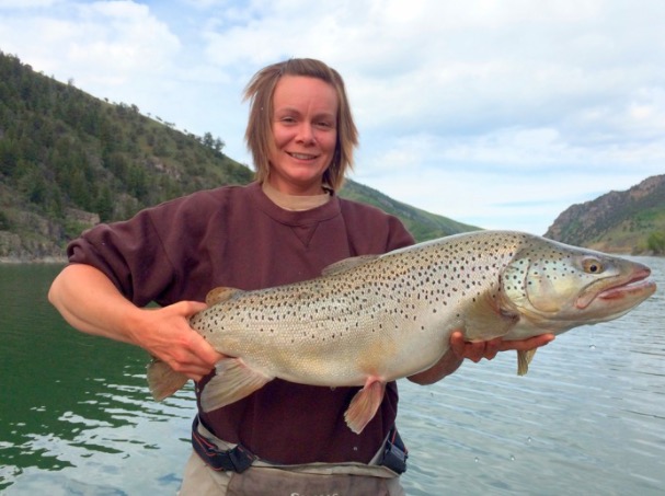 Why you should check the fish stocking reports before you head out with your rod