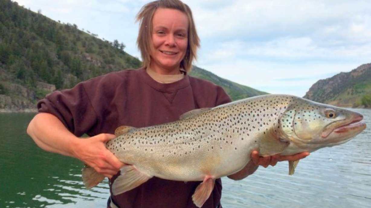 Where to find big brown trout in Utah this fall