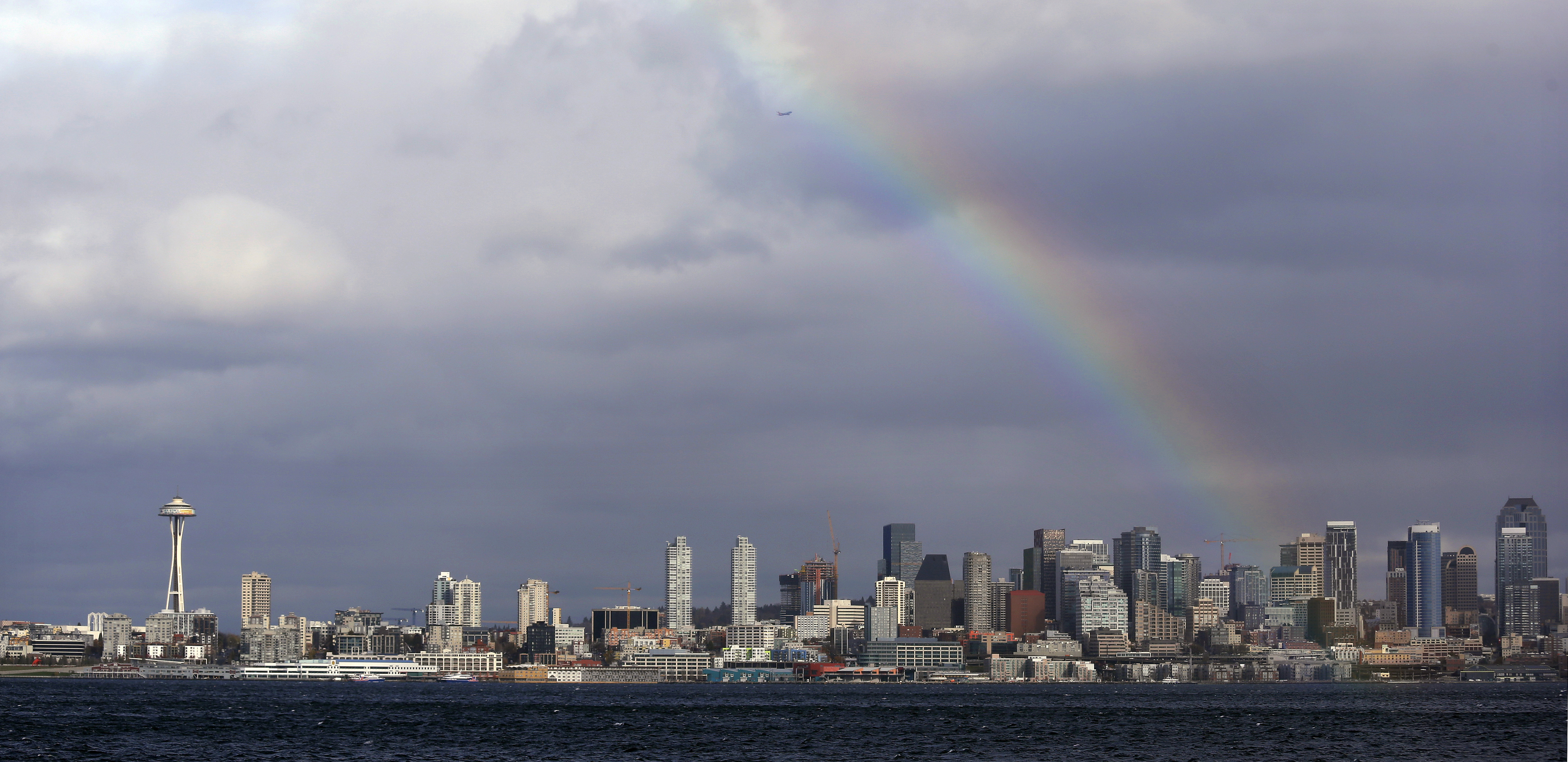 Falling trees kill 1, injure several during Washington storm