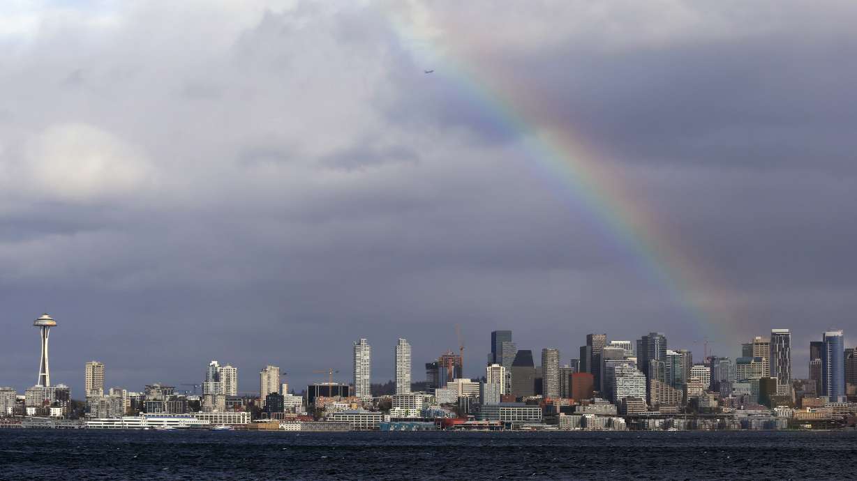 Falling trees kill 1, injure several during Washington storm