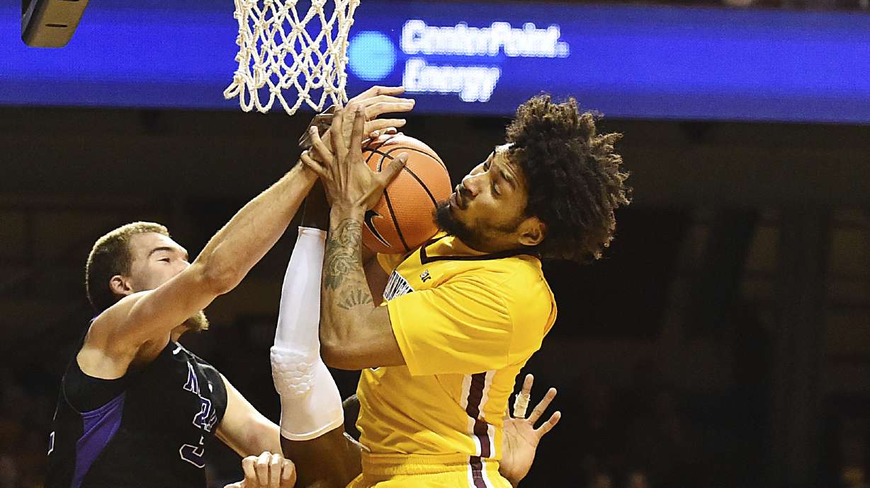 Balanced attack leads No. 14 Minnesota past Niagara