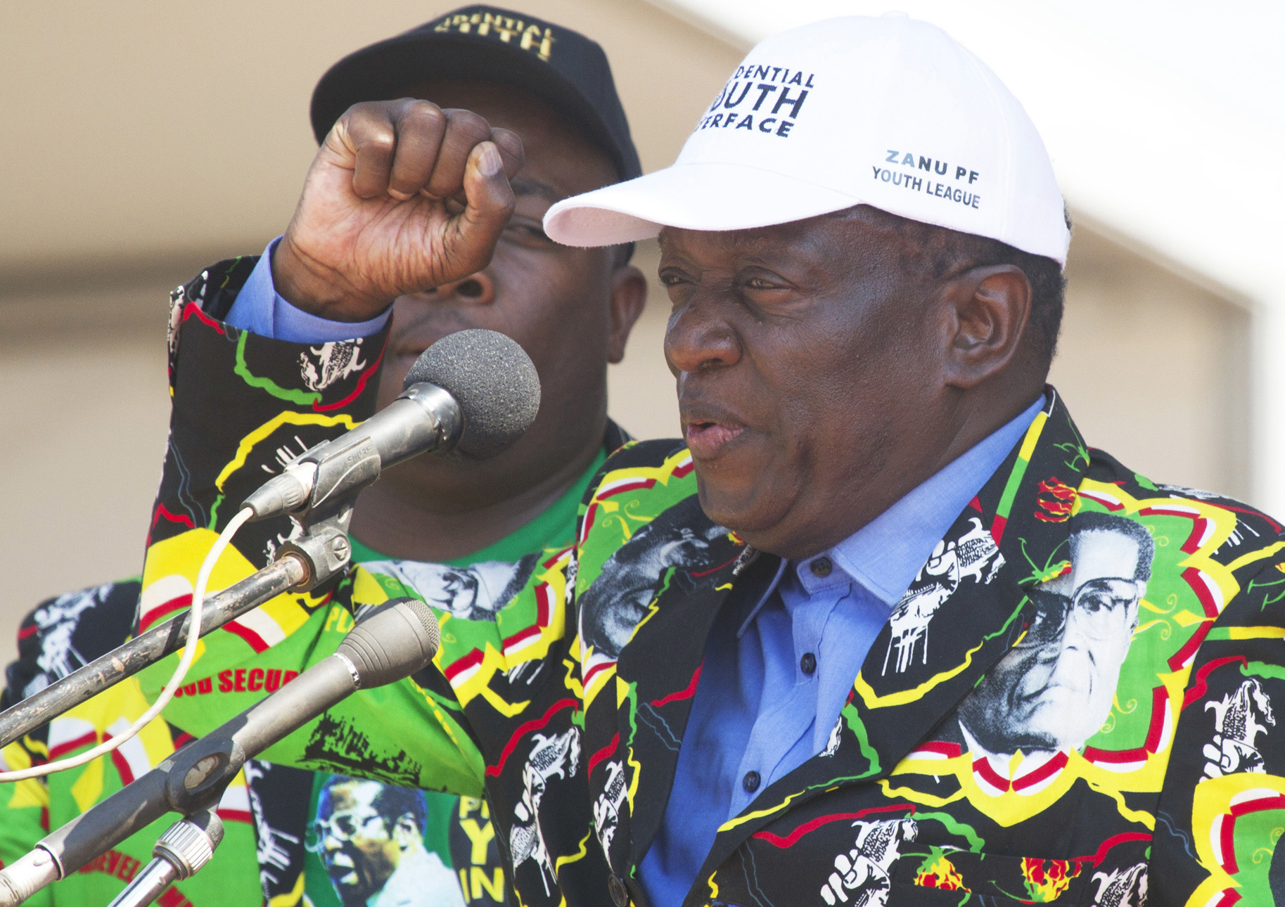 Figure known as 'Crocodile' could replace Zimbabwe president