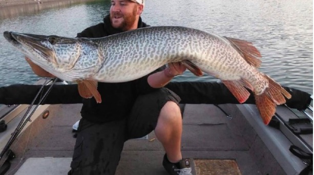 5 huge fish that were caught in Utah