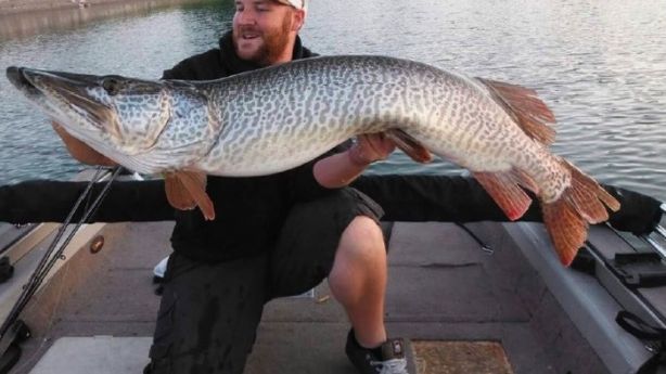 Download 5 Huge Fish That Were Caught In Utah Ksl Com Free Get Wallpaper 5 Huge Fish That Were Caught In Utah Ksl Com For Android Free