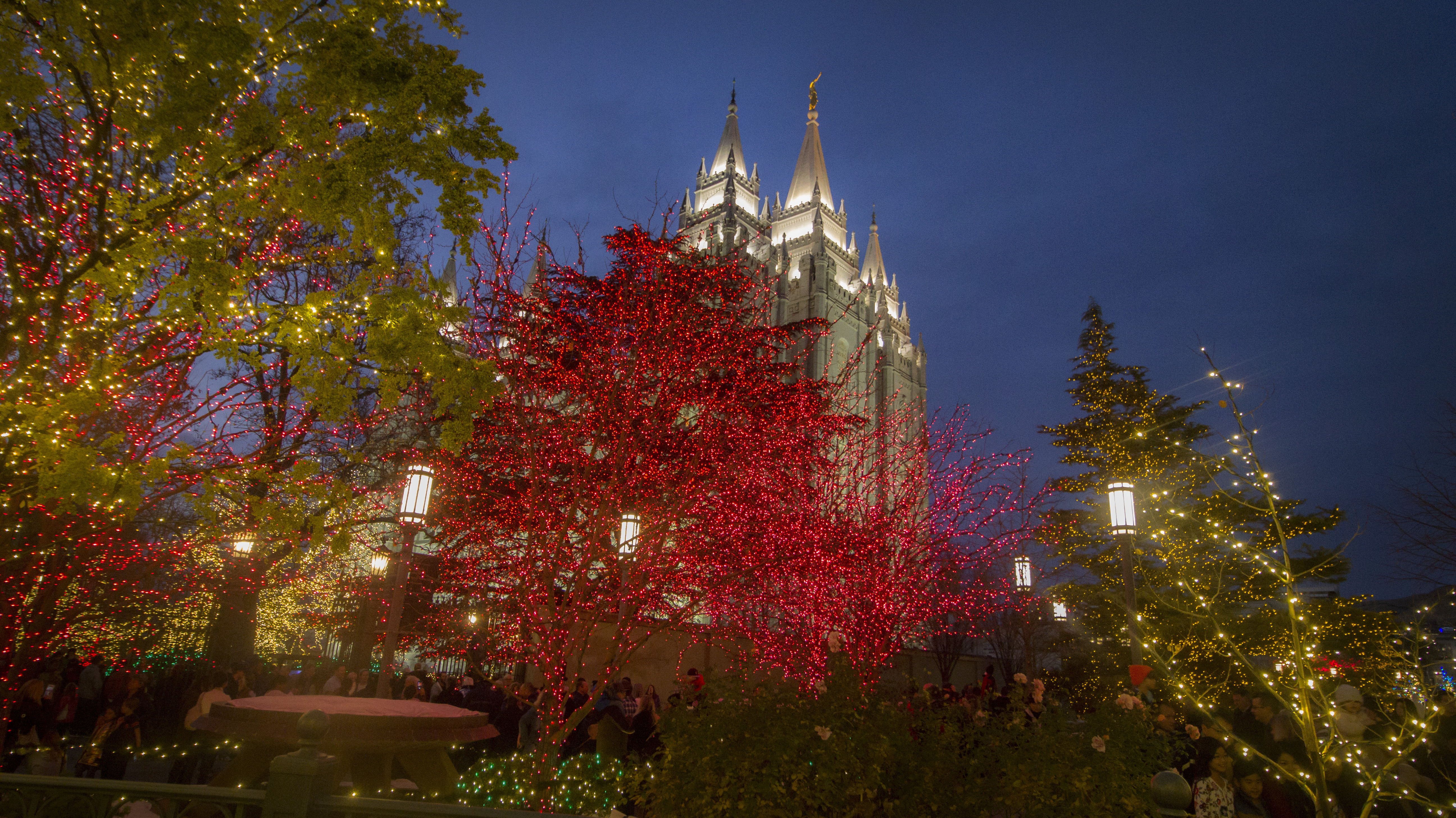 User submitted: Christmas lights come on, winter sunrises dazzle