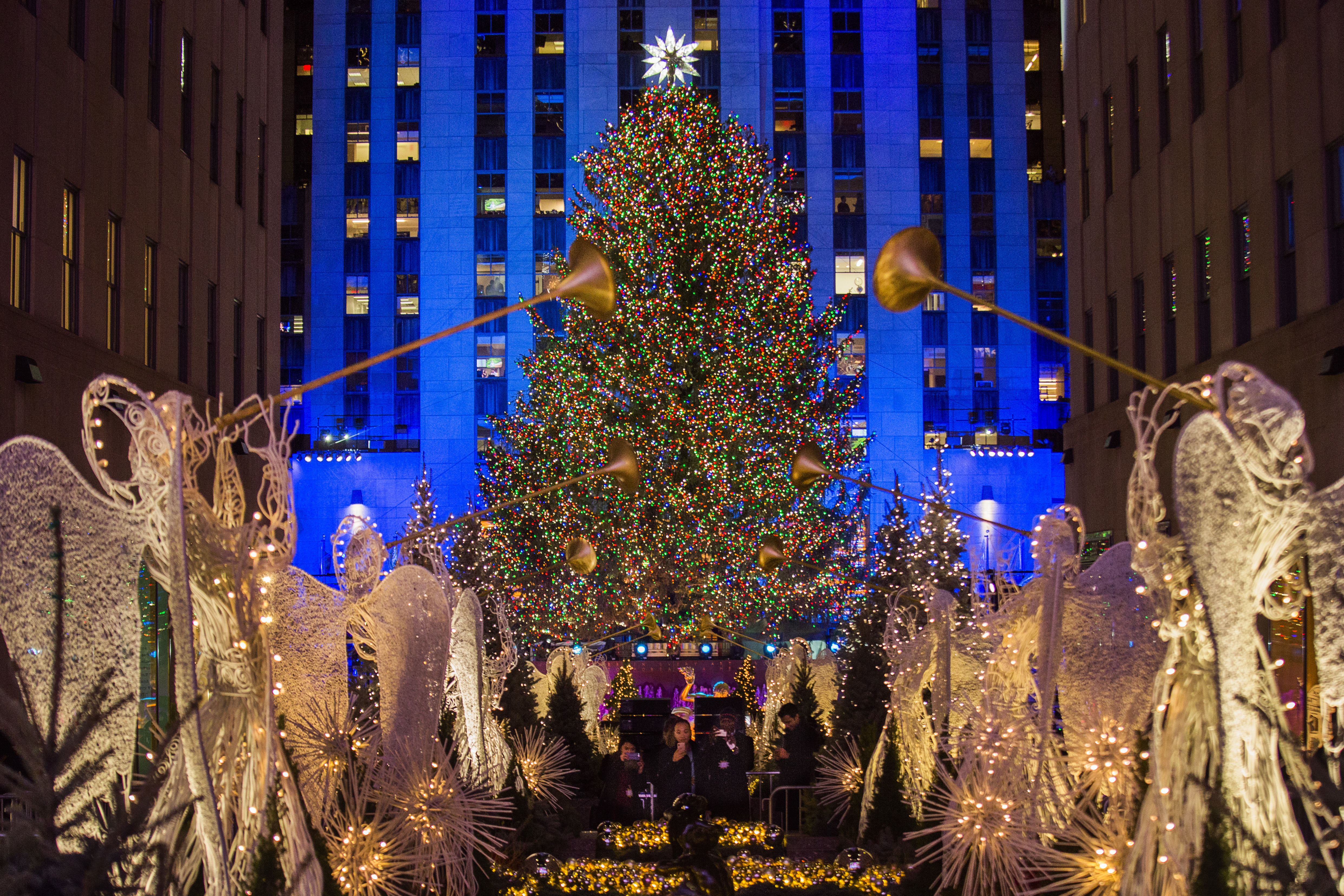 After the lights dim, Rockefeller Christmas trees still give