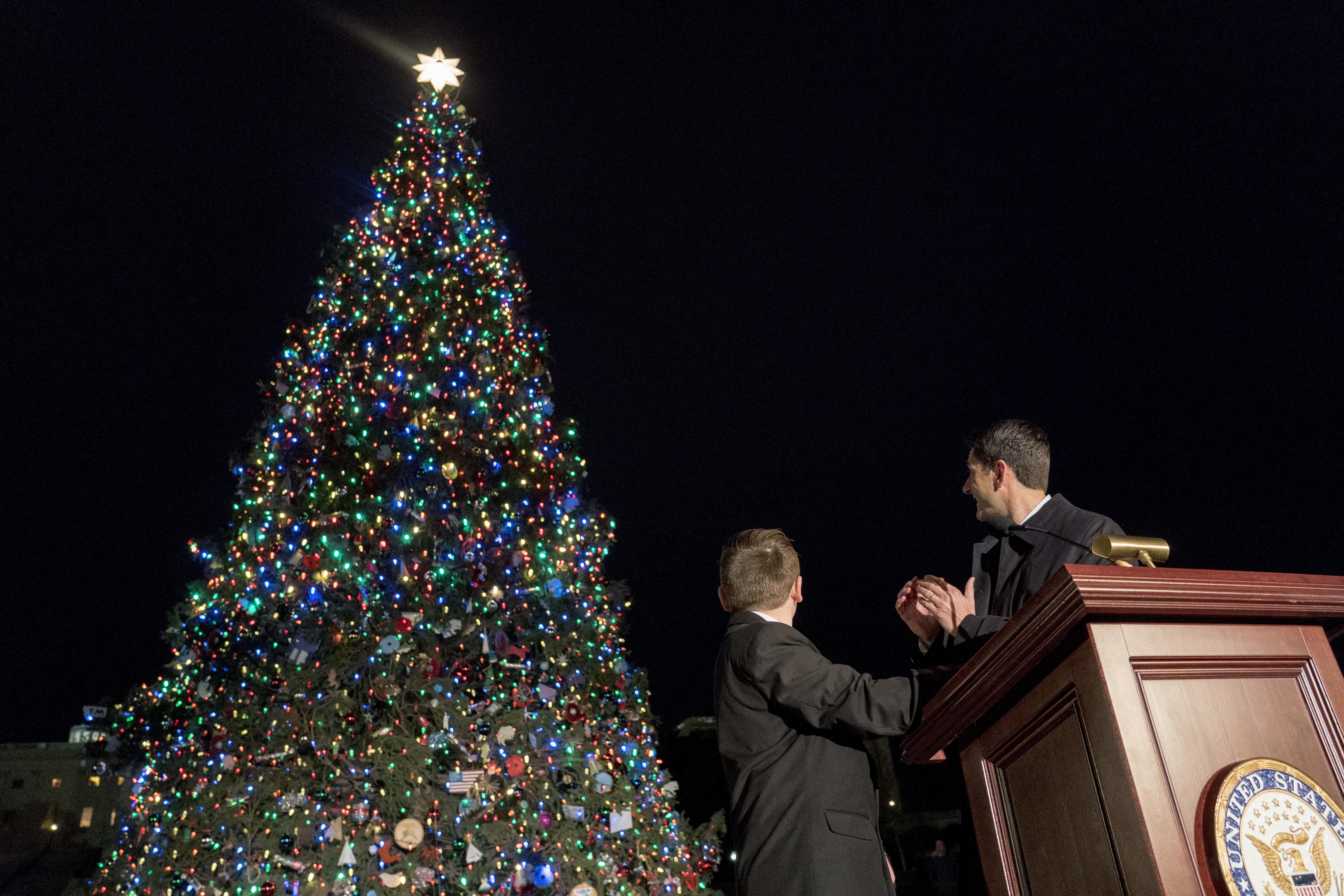 79-foot Montana Christmas tree lit outside US Capitol