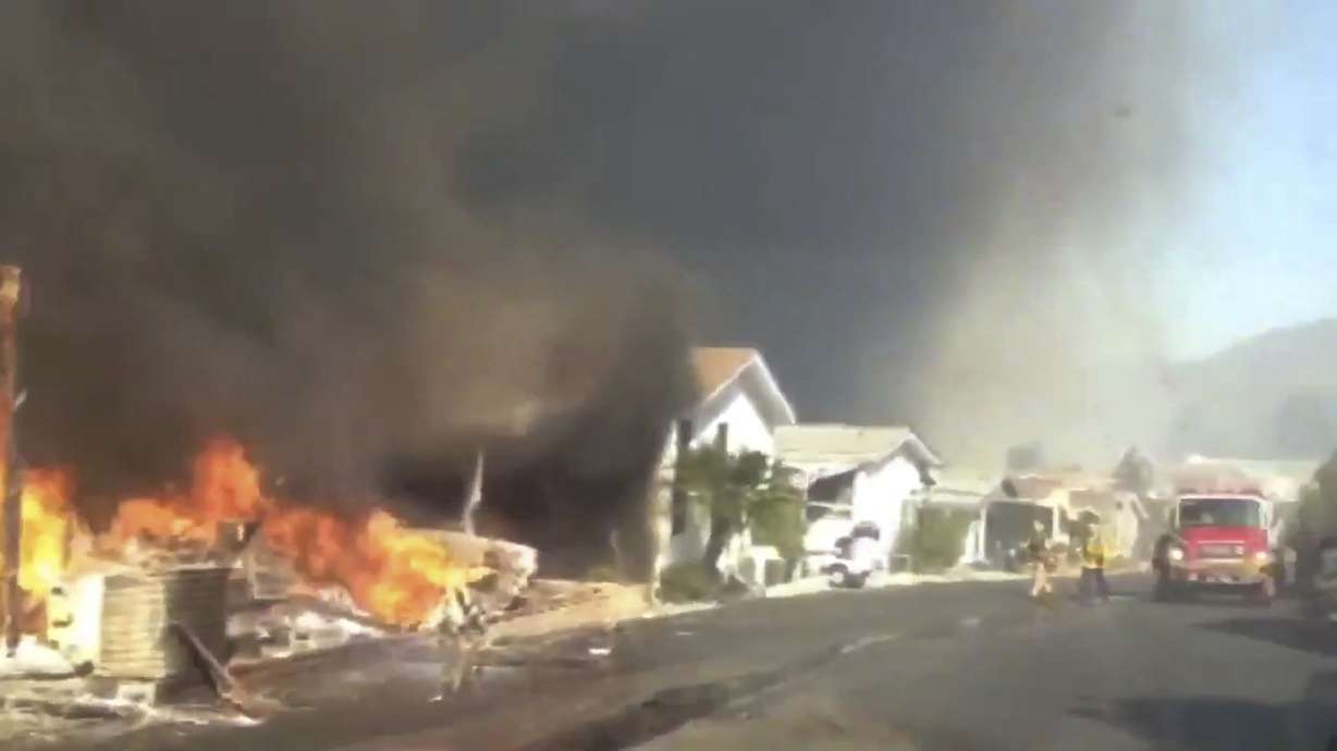 Elite thoroughbred race horses killed in California wildfire