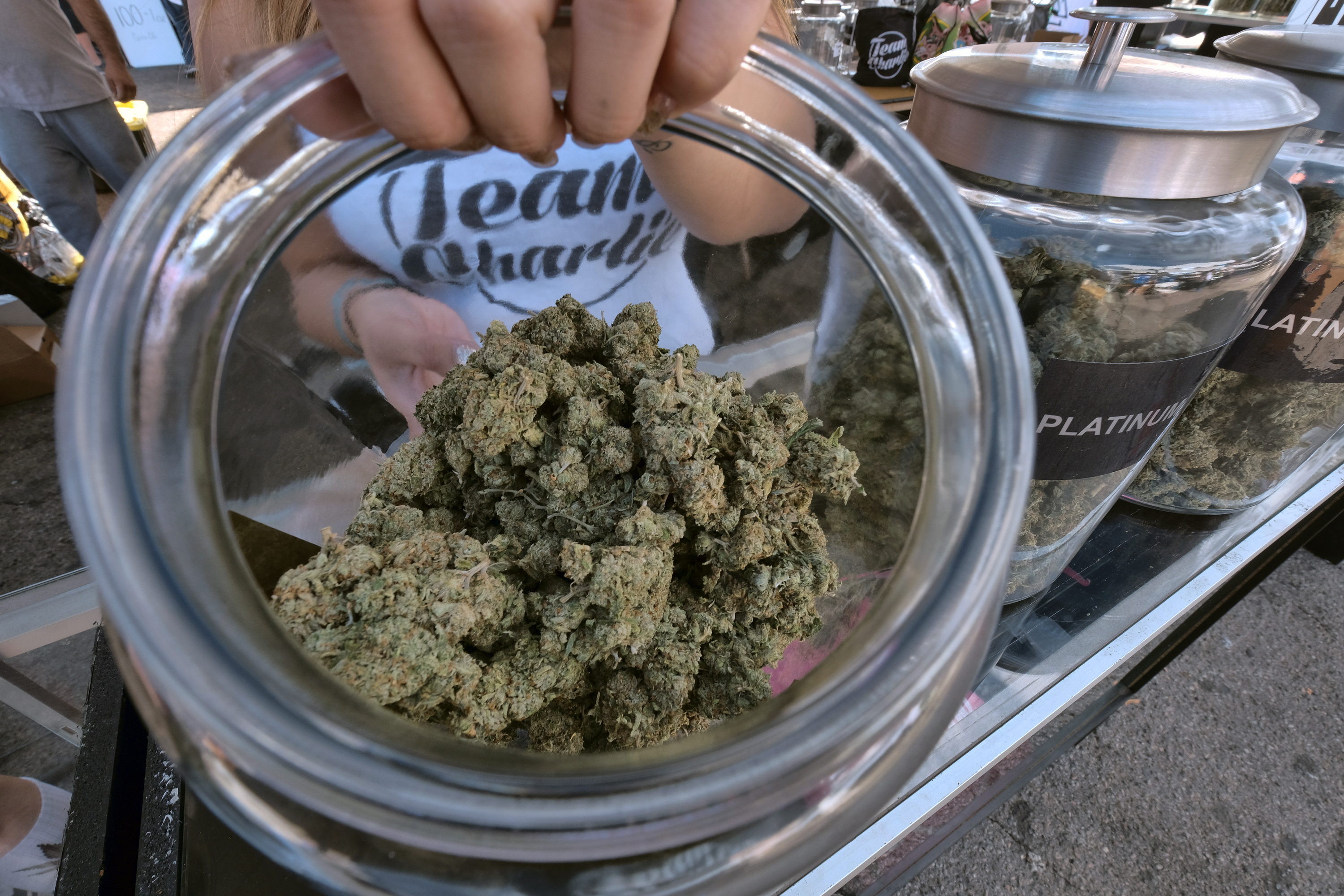 California opens online system to license new pot industry