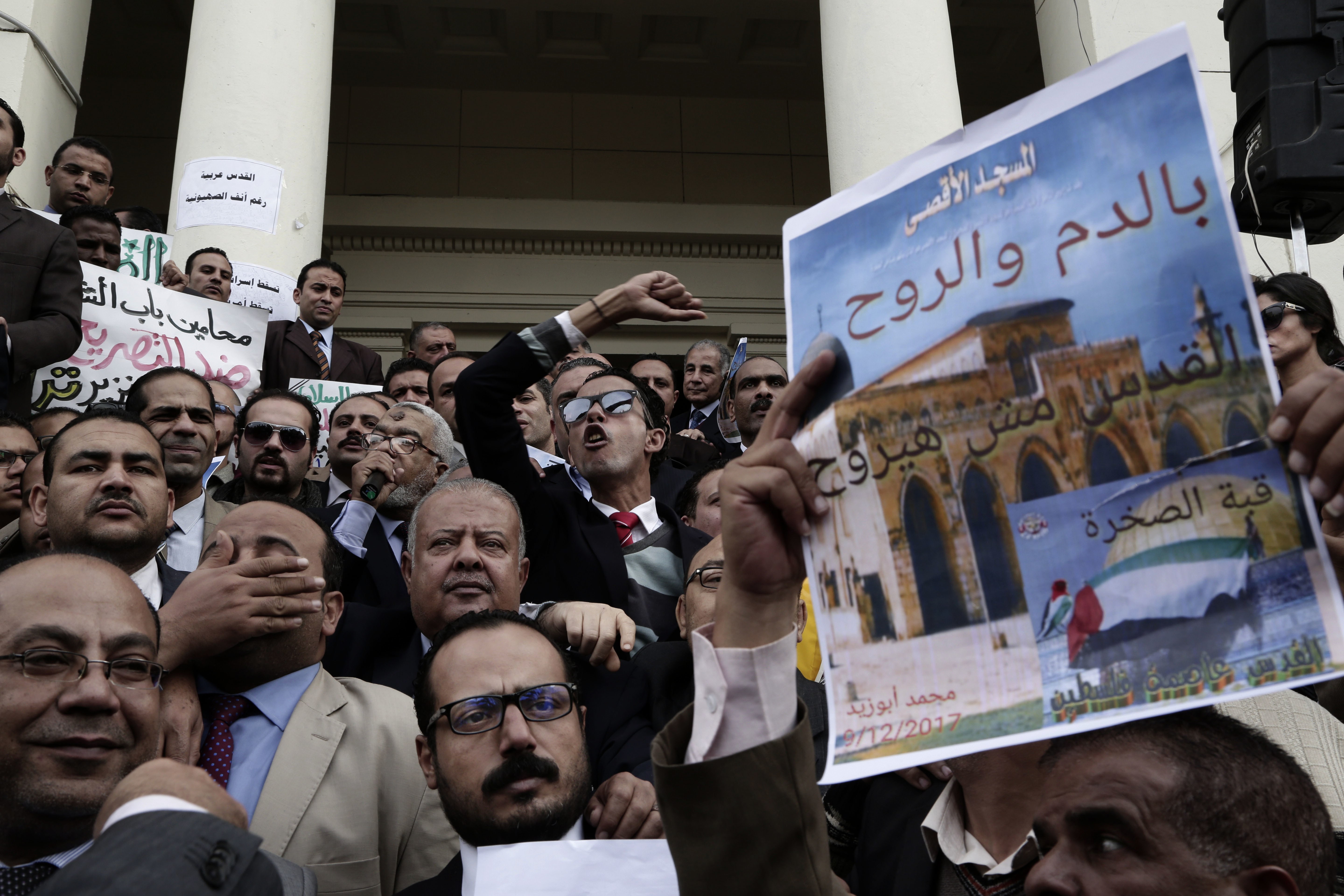 Egypt detains 8 anti-Trump protesters after Cairo rally