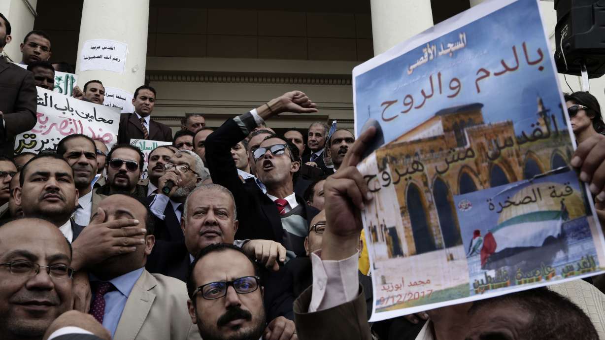 Egypt detains 8 anti-Trump protesters after Cairo rally