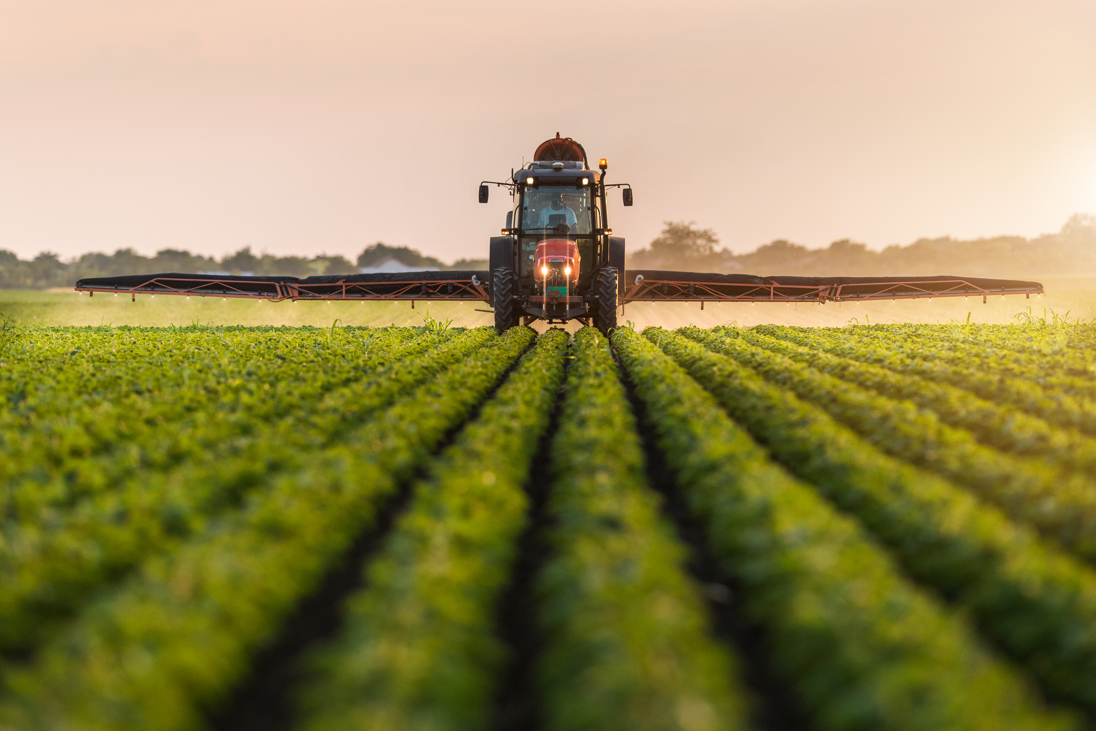 Some farmers in Washington and Idaho seeing more acidic soil