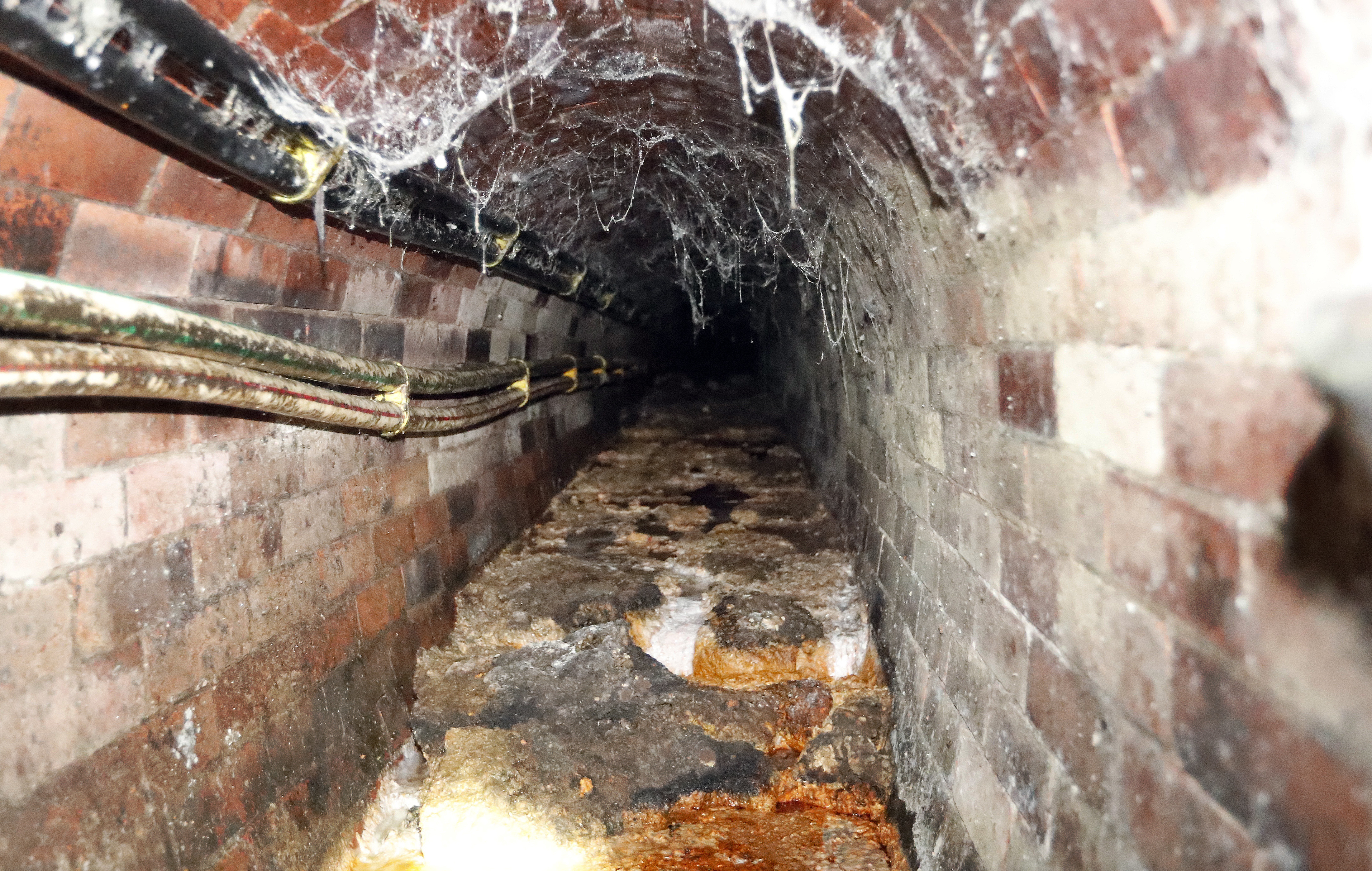 Fetid attraction: London fatberg to go on museum display