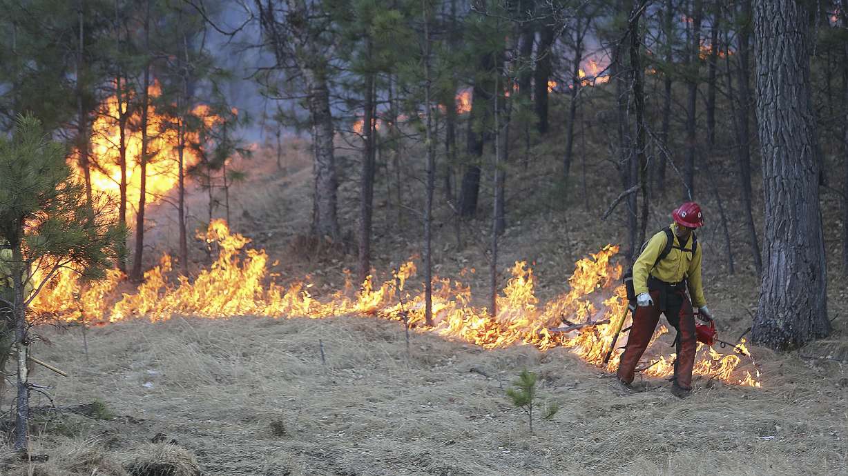 The Latest: Wind gusts feed wildfire in South Dakota