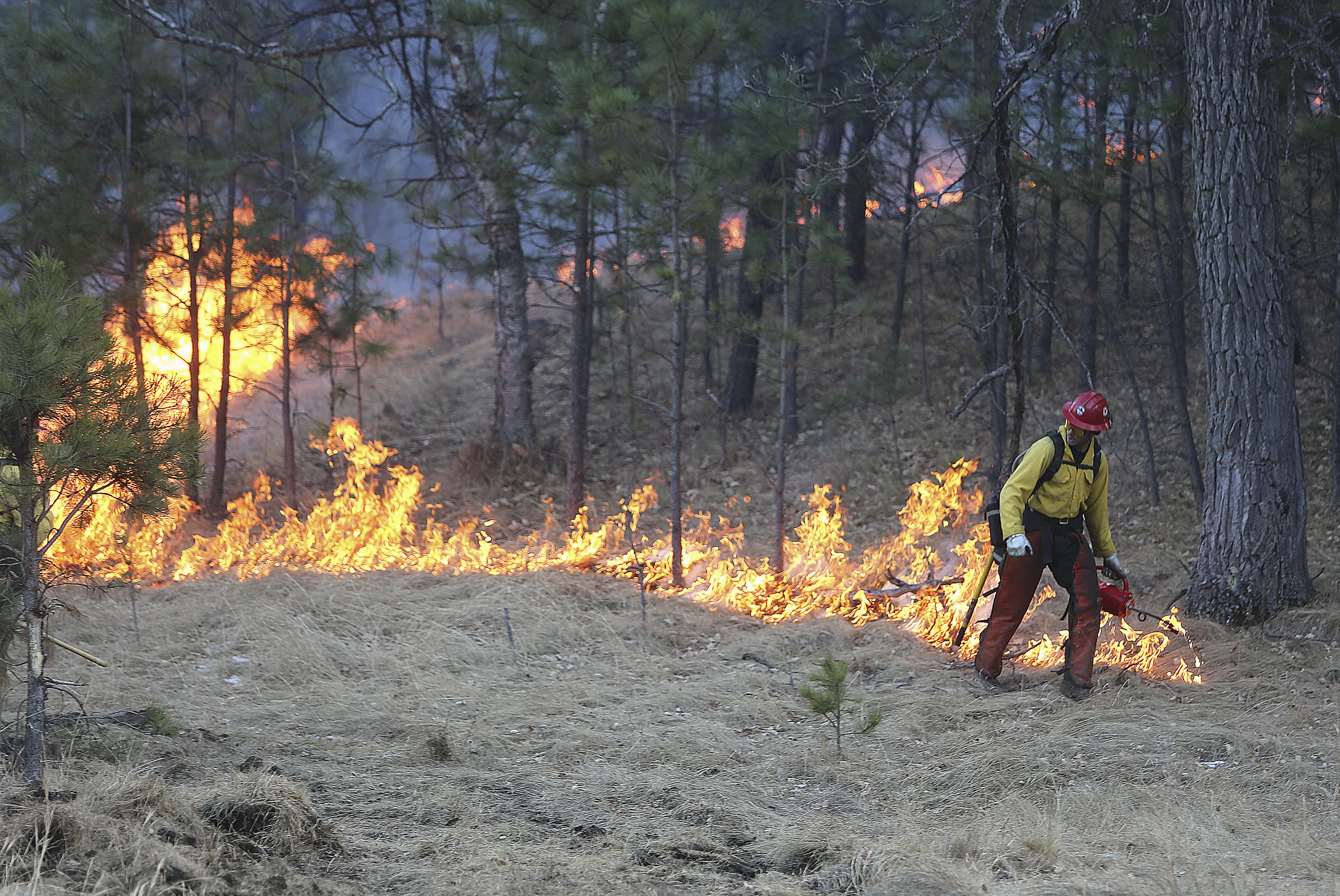 Evacuation lifted for South Dakota towns near wildfire
