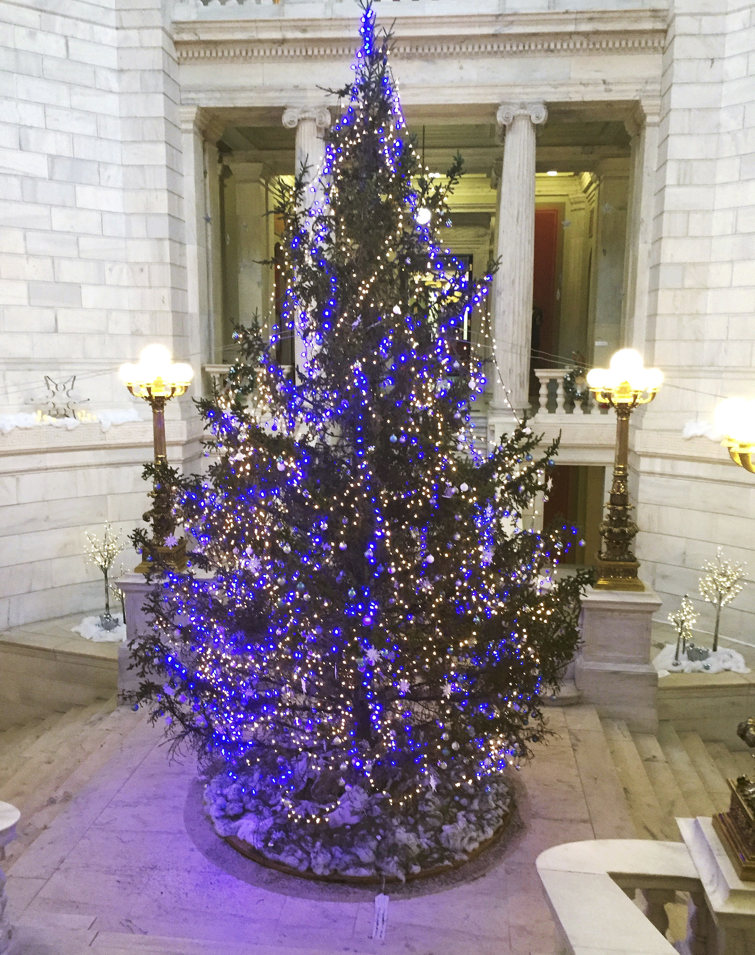 Dead, dried-up Christmas tree to be replaced at Statehouse